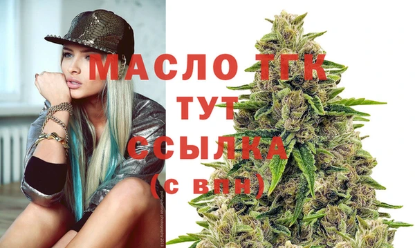 прущий лед Богданович