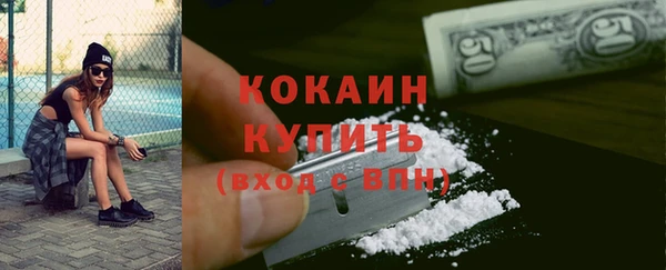 прущий лед Богданович