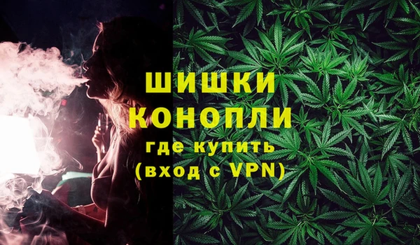 прущий лед Богданович