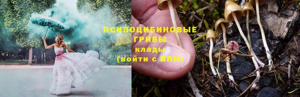 гашиш Богородицк