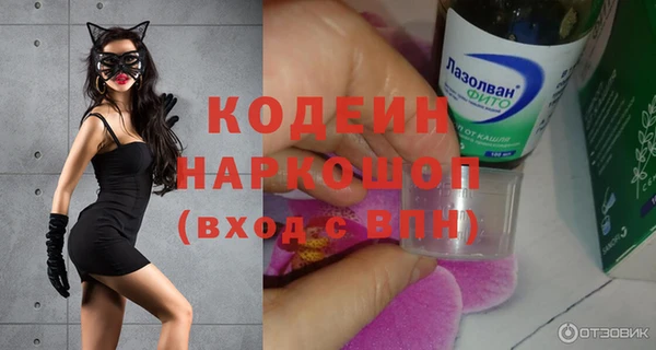 прущий лед Богданович