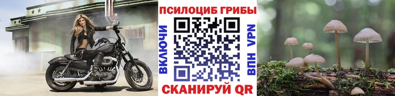 Псилоцибиновые грибы ЛСД Пенза